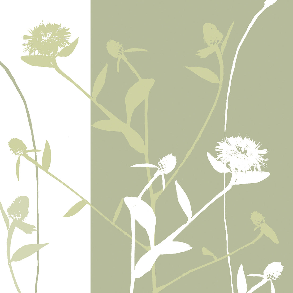 Wildflowers