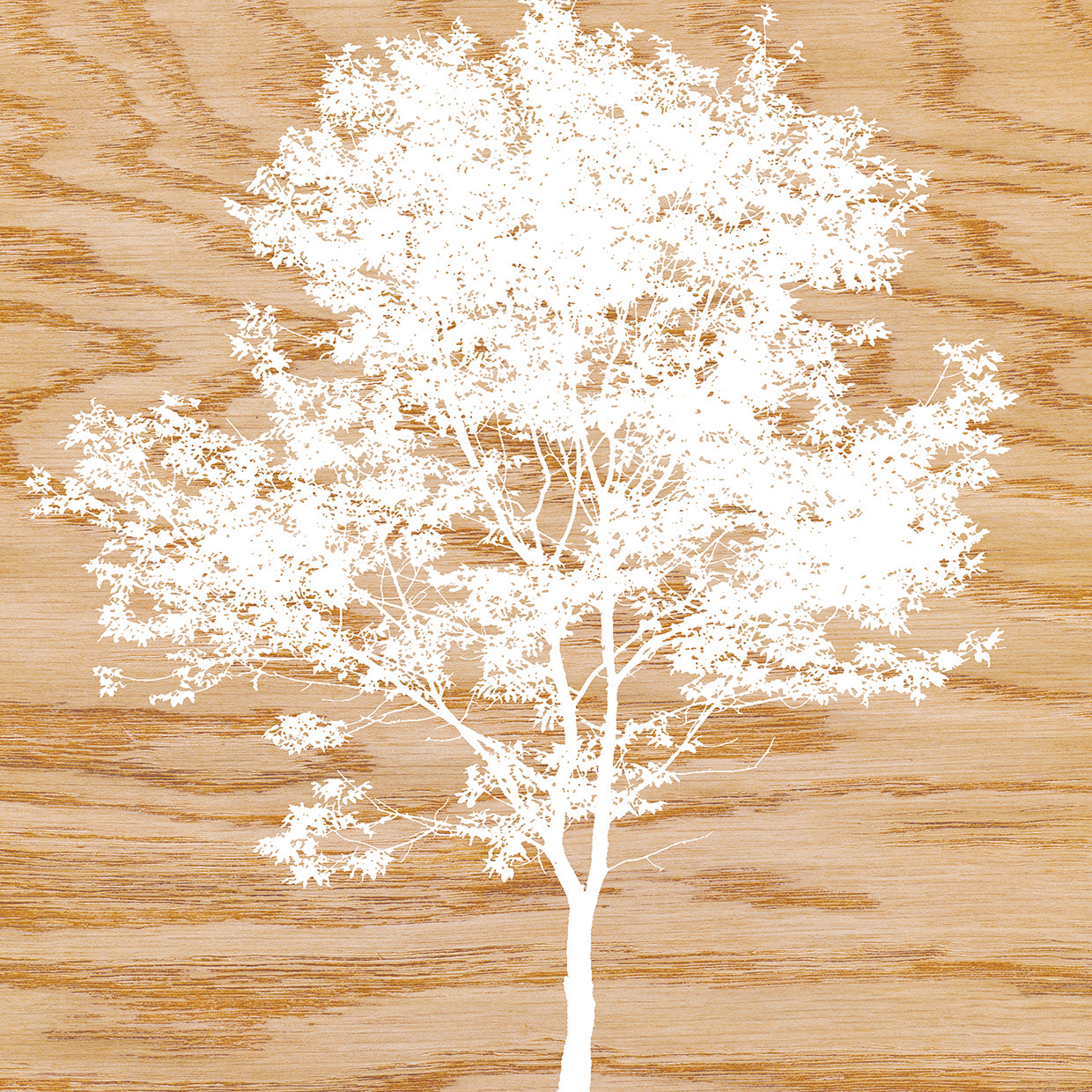 Snowy Tree
