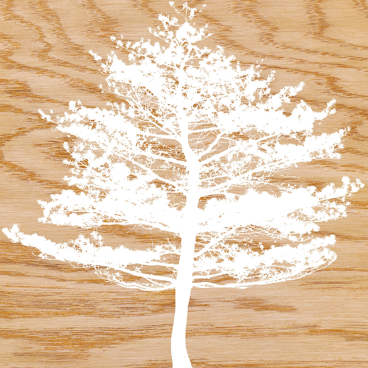 Frosty Tree