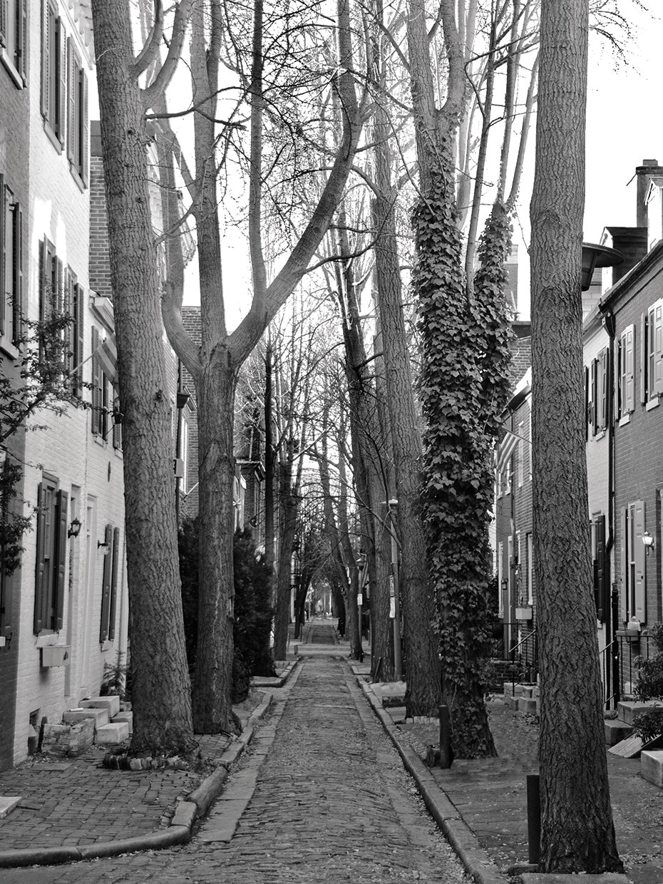 Brick Road (b/w)