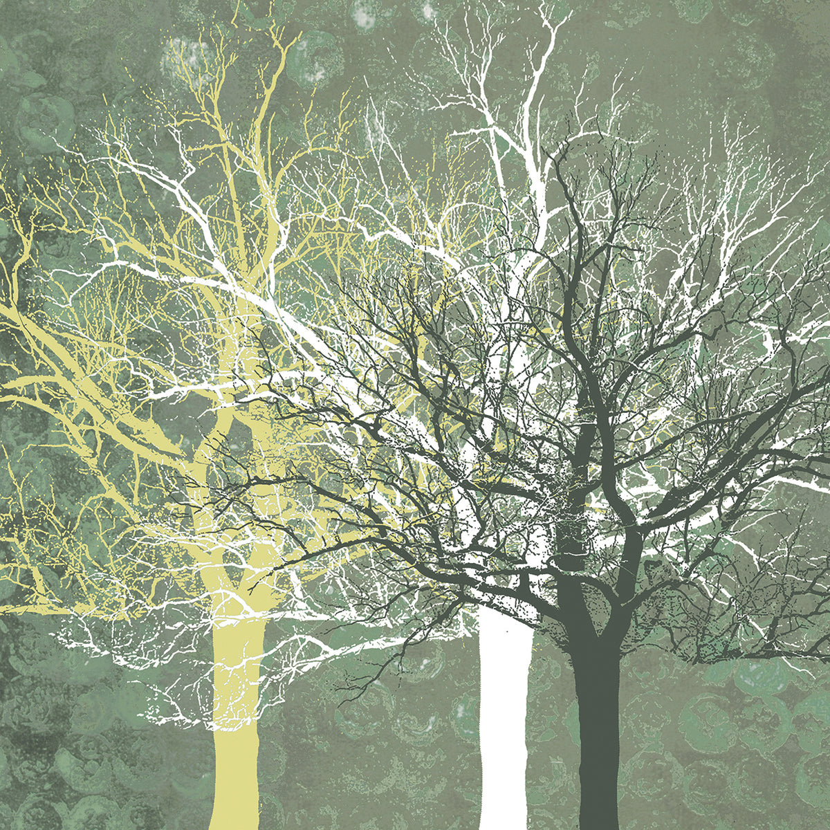 Silent Forest