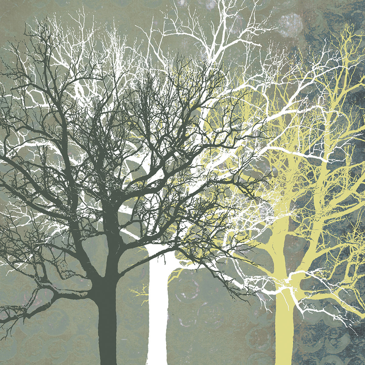 Tranquil Forest
