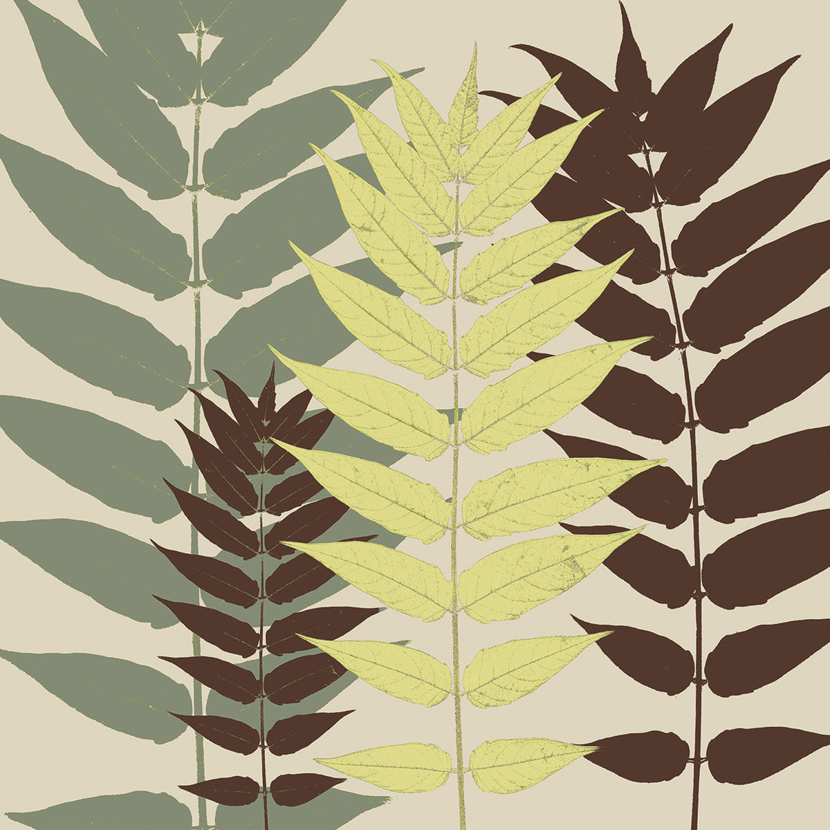 Garden Botanical