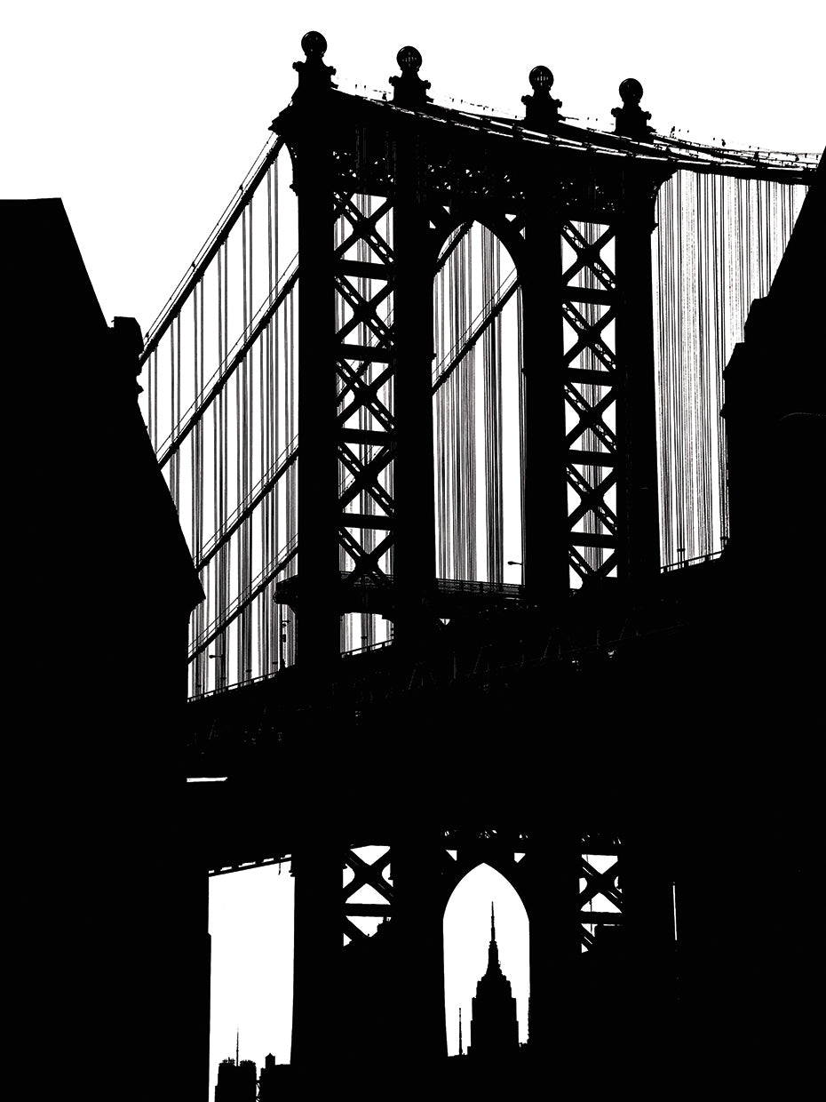 DUMBO Silhouette