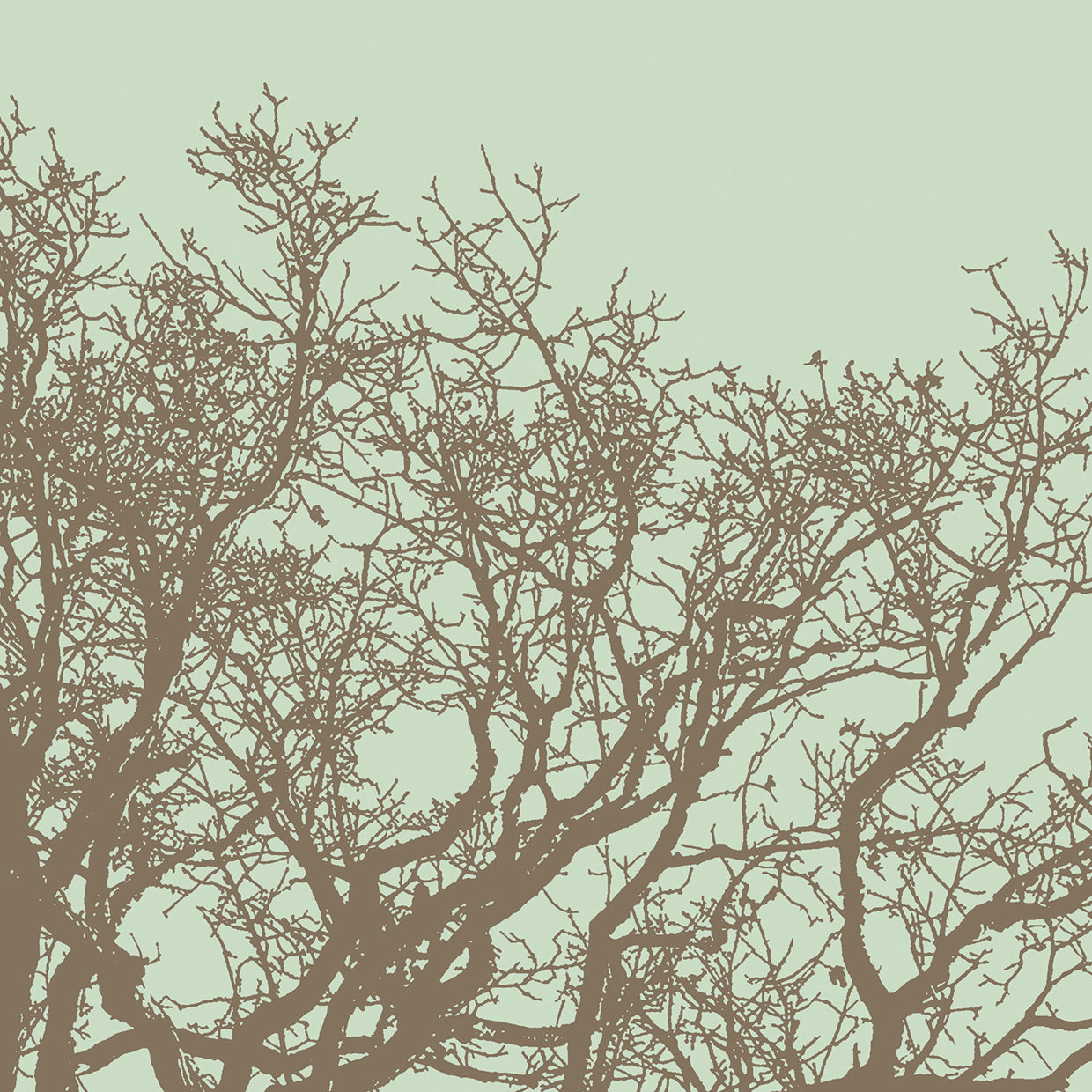 Winter Tree II