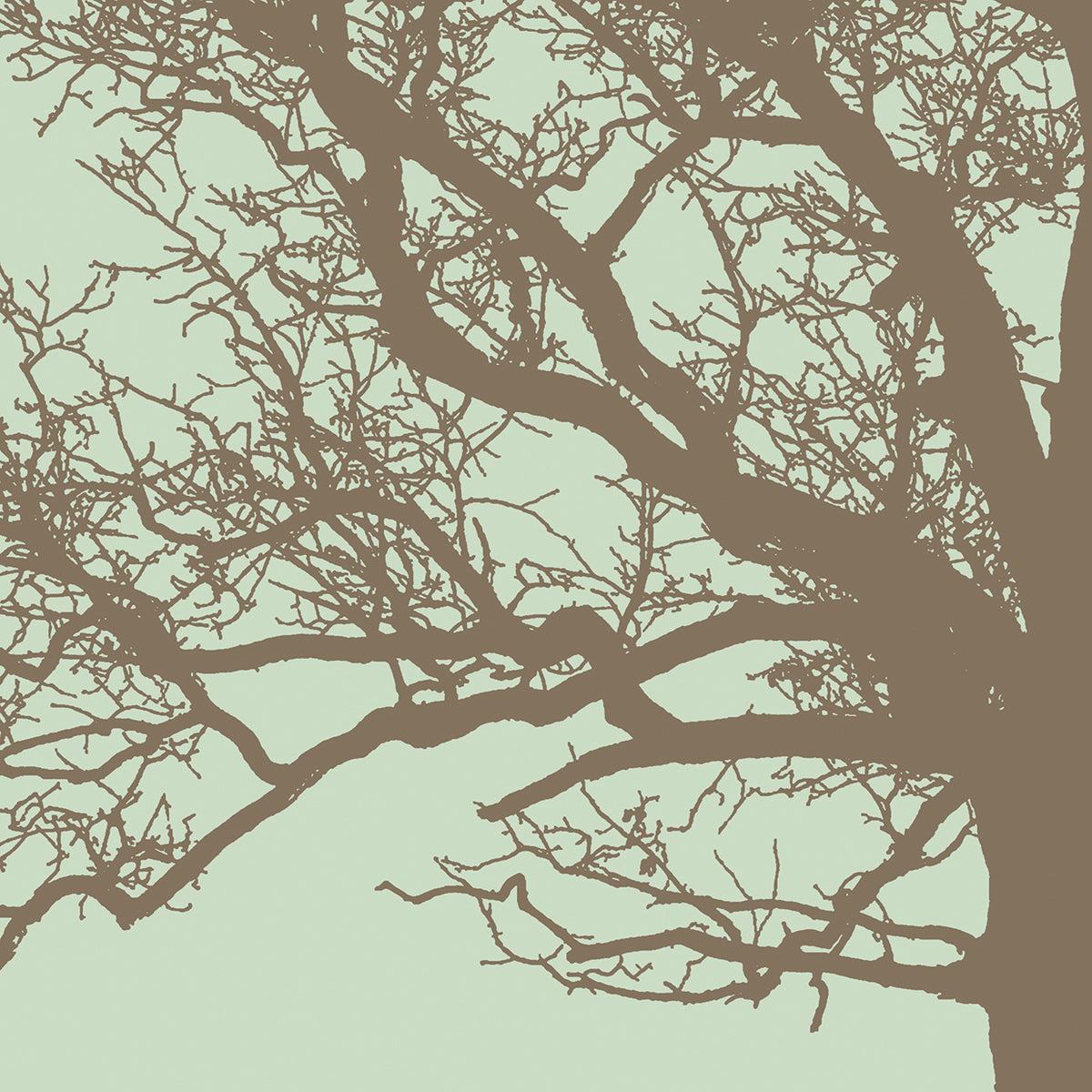 Winter Tree III