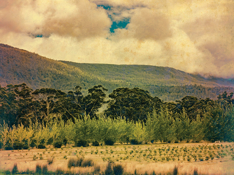 Vintage Countryside 03