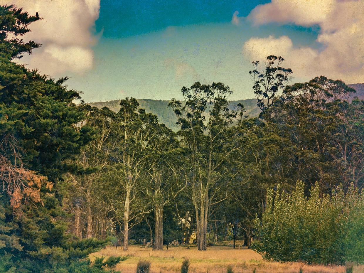 Vintage Countryside 04