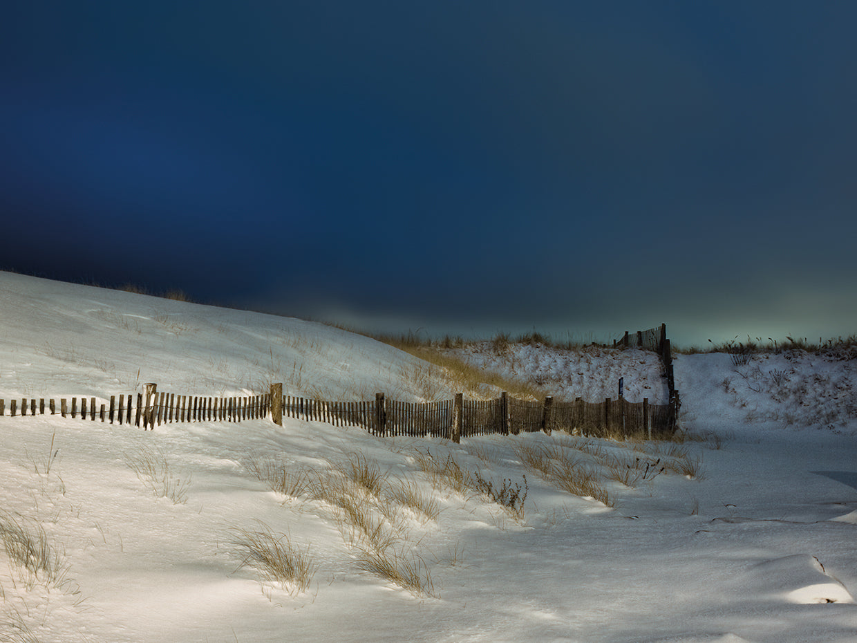 The Mock Turtle's Lament