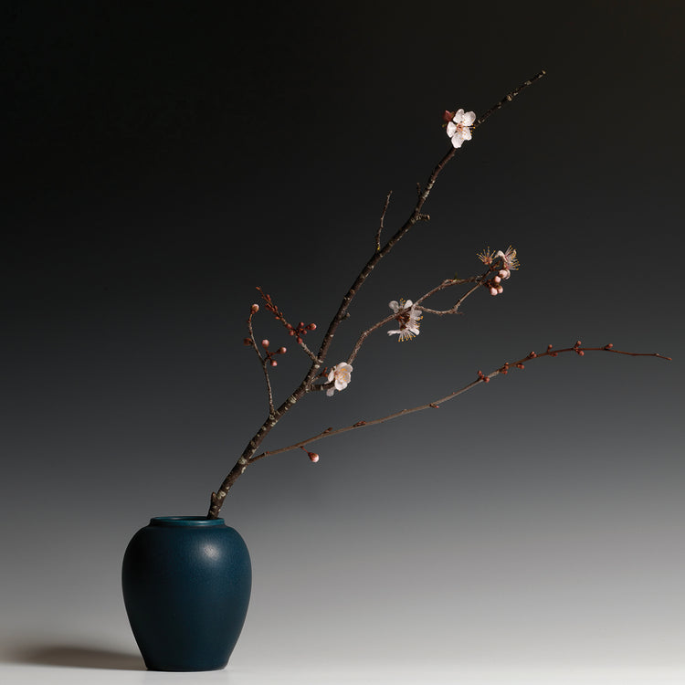Still Life with Plum Blossom