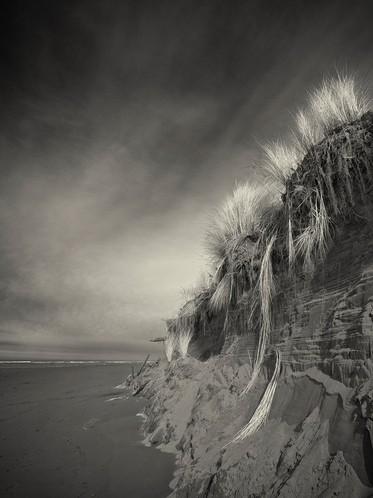 The Rapunzel Experience