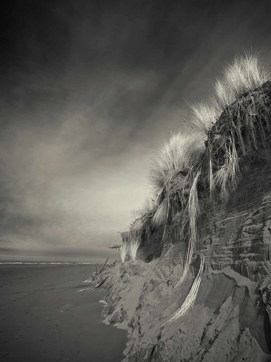 The Rapunzel Experience