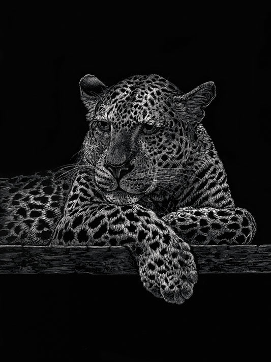 Jaguar Canvas Art