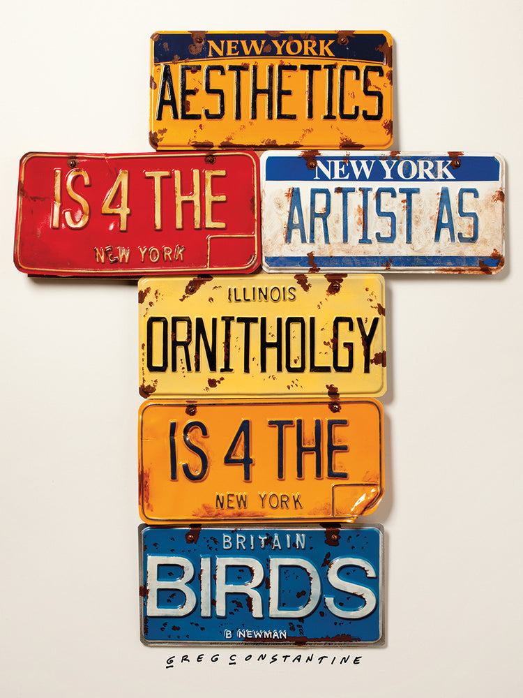 Newman Aesthetics 4 The Artist