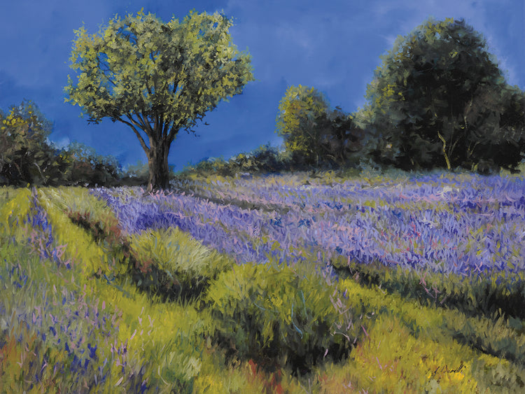Lienzo Il Campo Di Lavanda