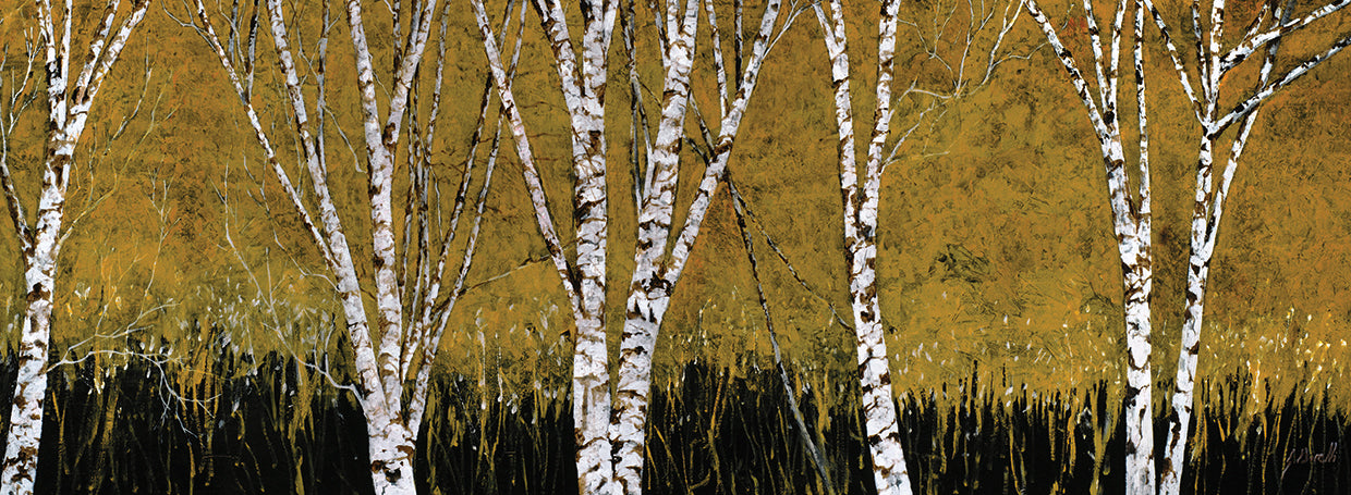 Betulle A Sfondo Giallo