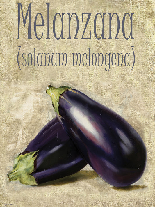 Melanzana Solanum Melongena Canvas Print