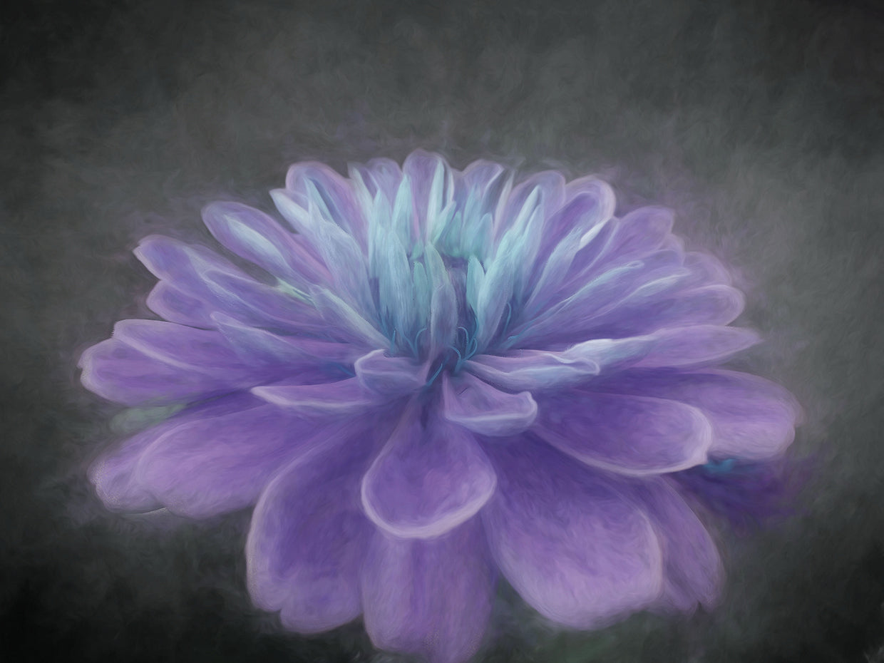 Purple Passion