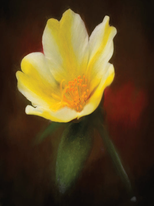Yellow Bloom Canvas Art