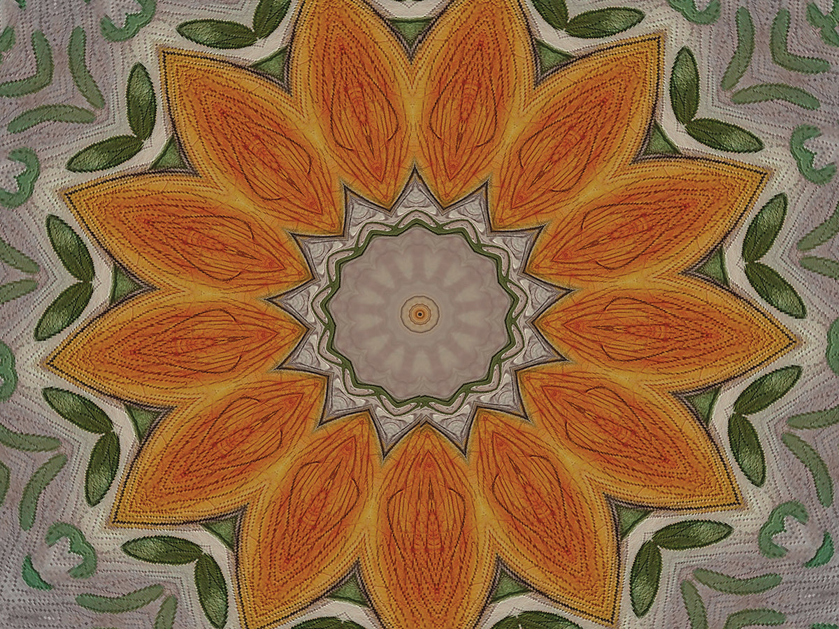 Orange Slices