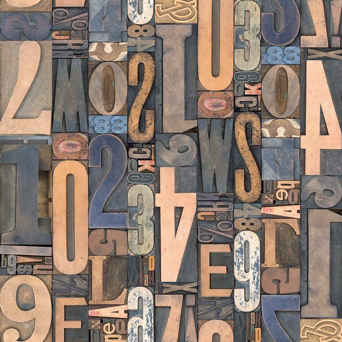 Typography Photography 3
