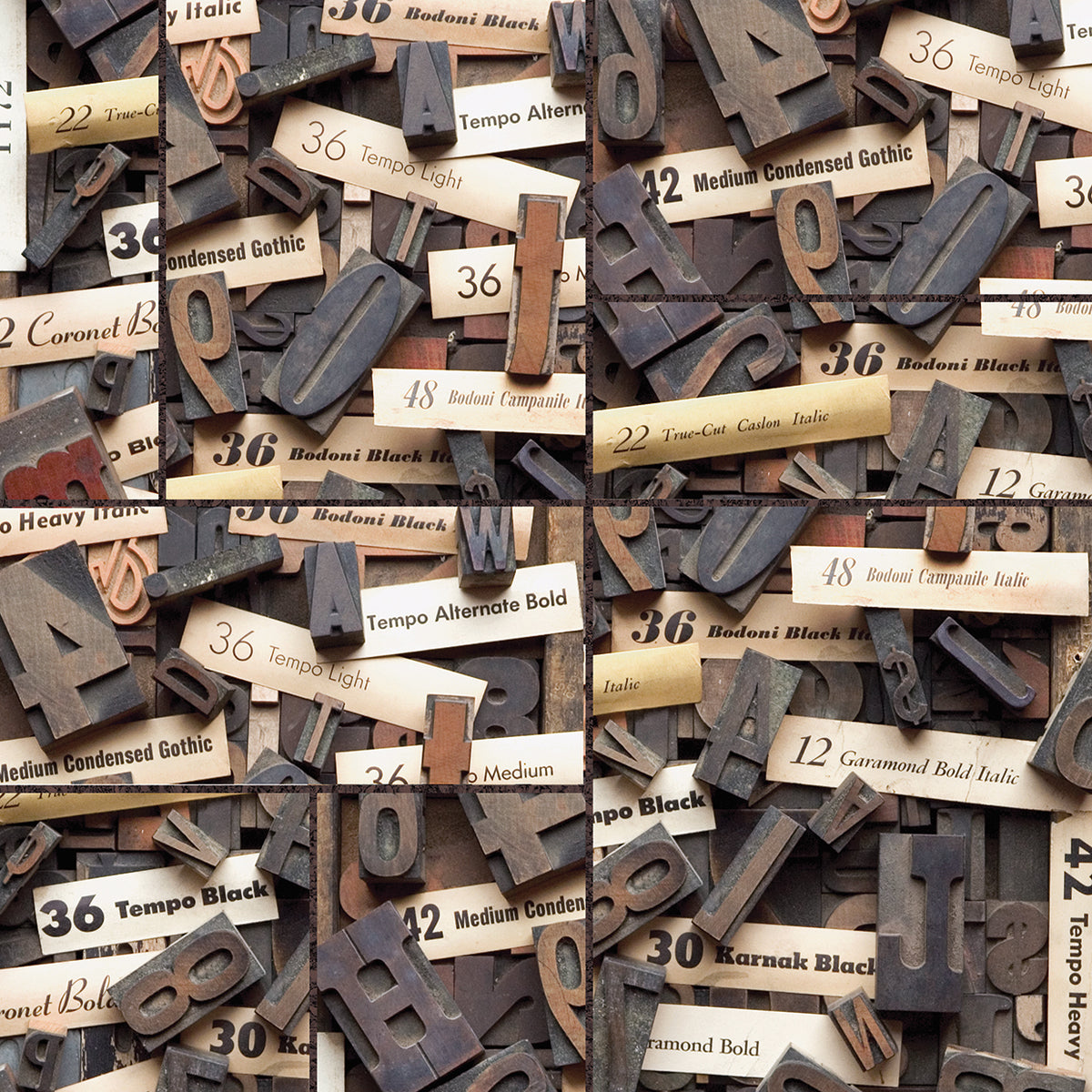 Typography Photography 6