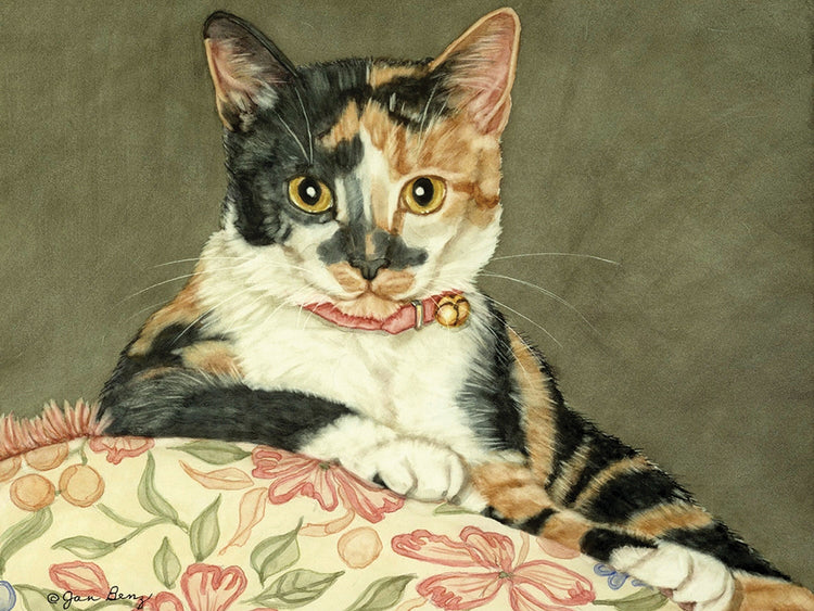 Princesa Lienzo