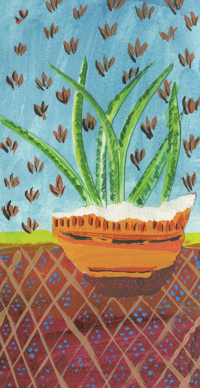 Succulent Southwest Pot