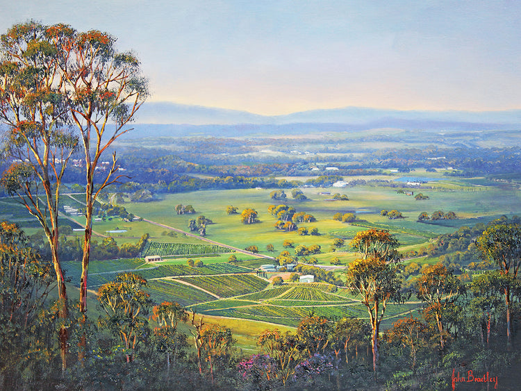 Pokolbin Pastoral 2 Lienzo