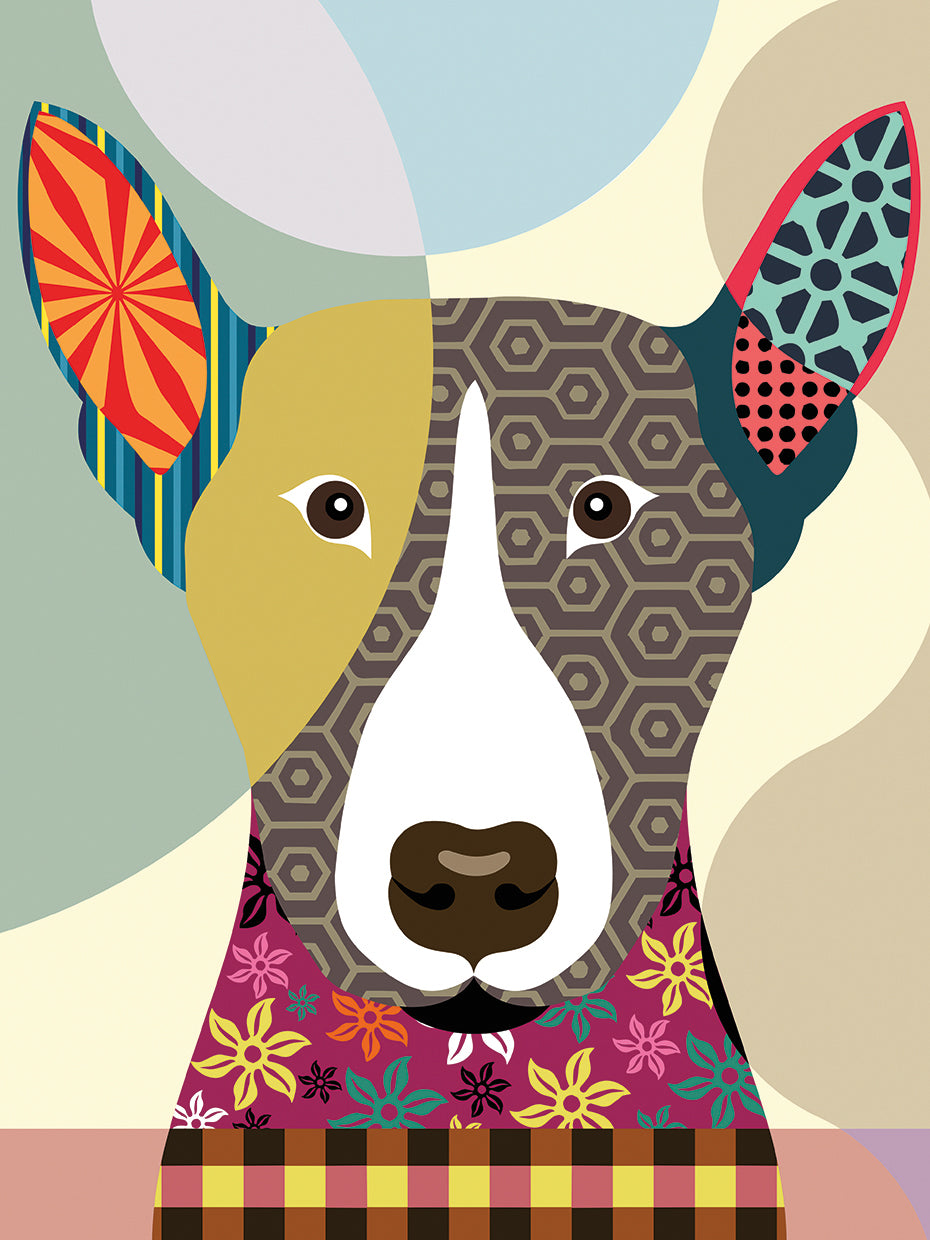 Bull Terrier Dog