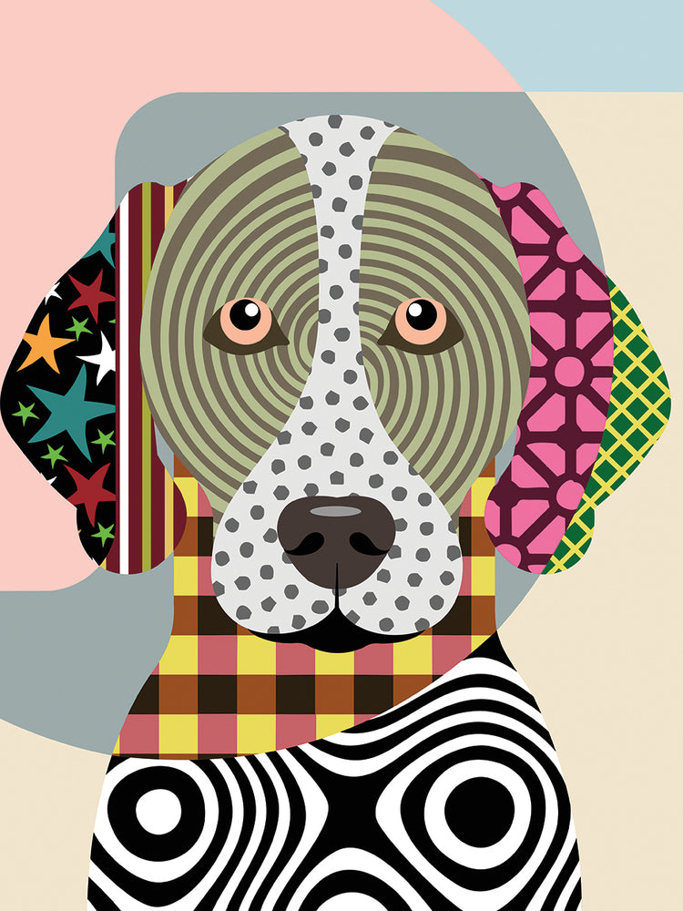 German Shorthaired Pointer