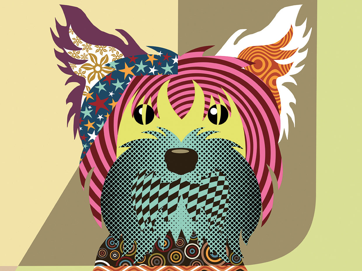 Yorkshire Terrier Dog