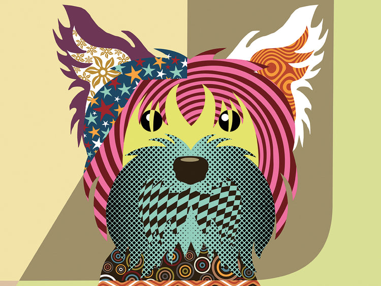 Yorkshire Terrier Dog