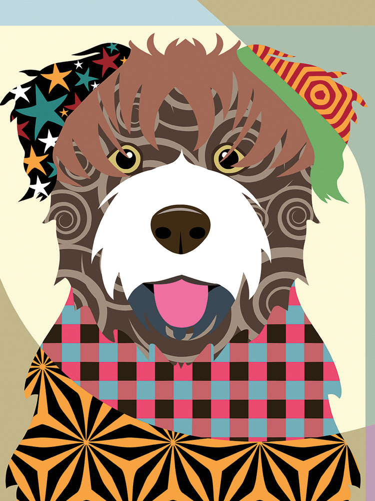 Bouvier Des Flandres