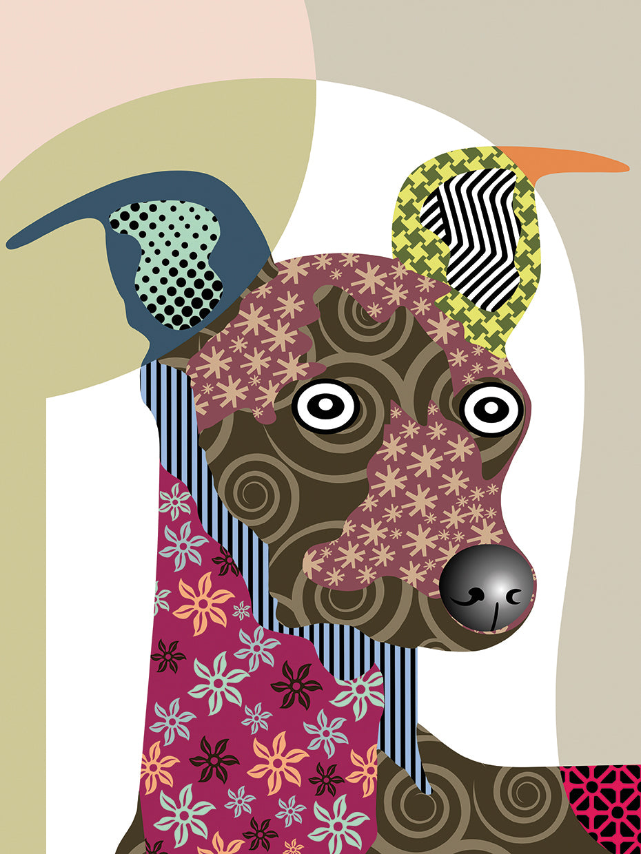 Galgo Lienzo