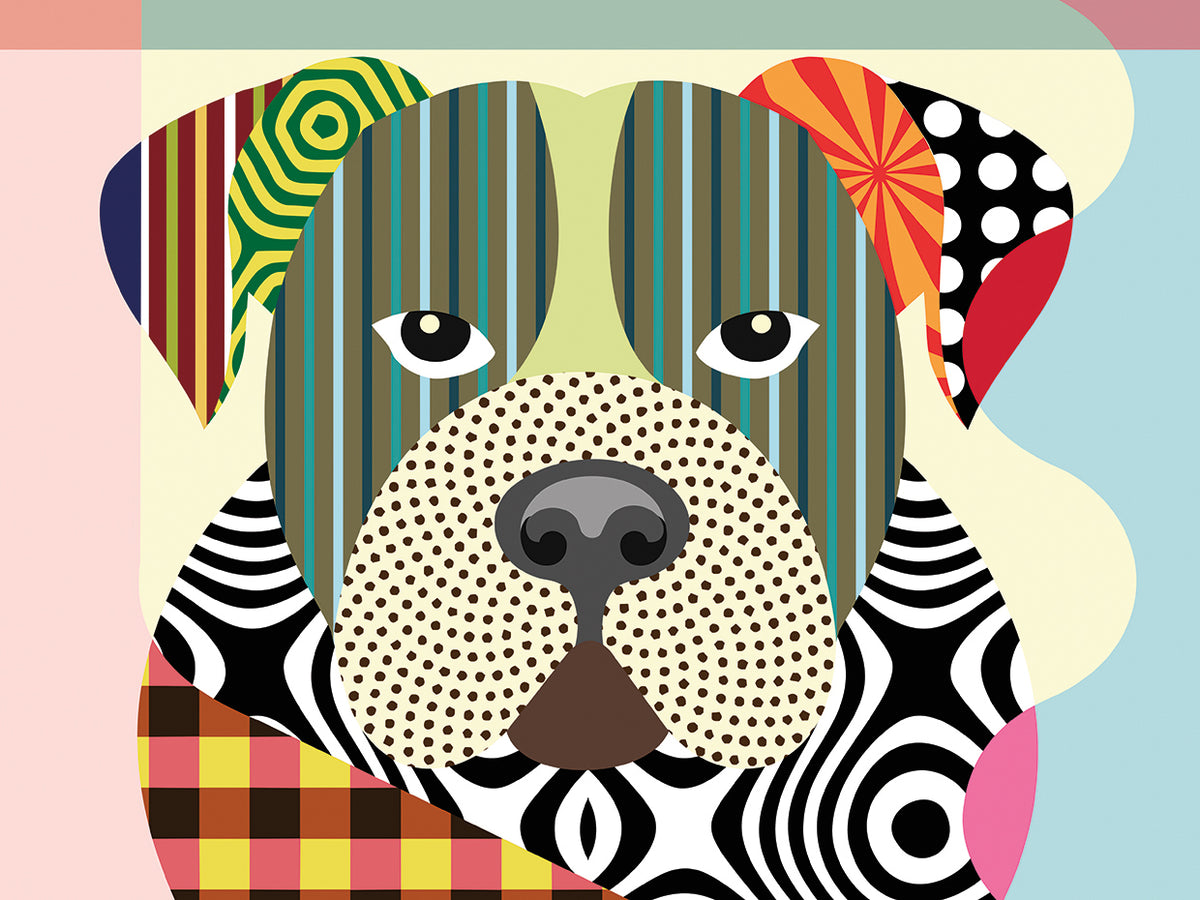 American Bulldog