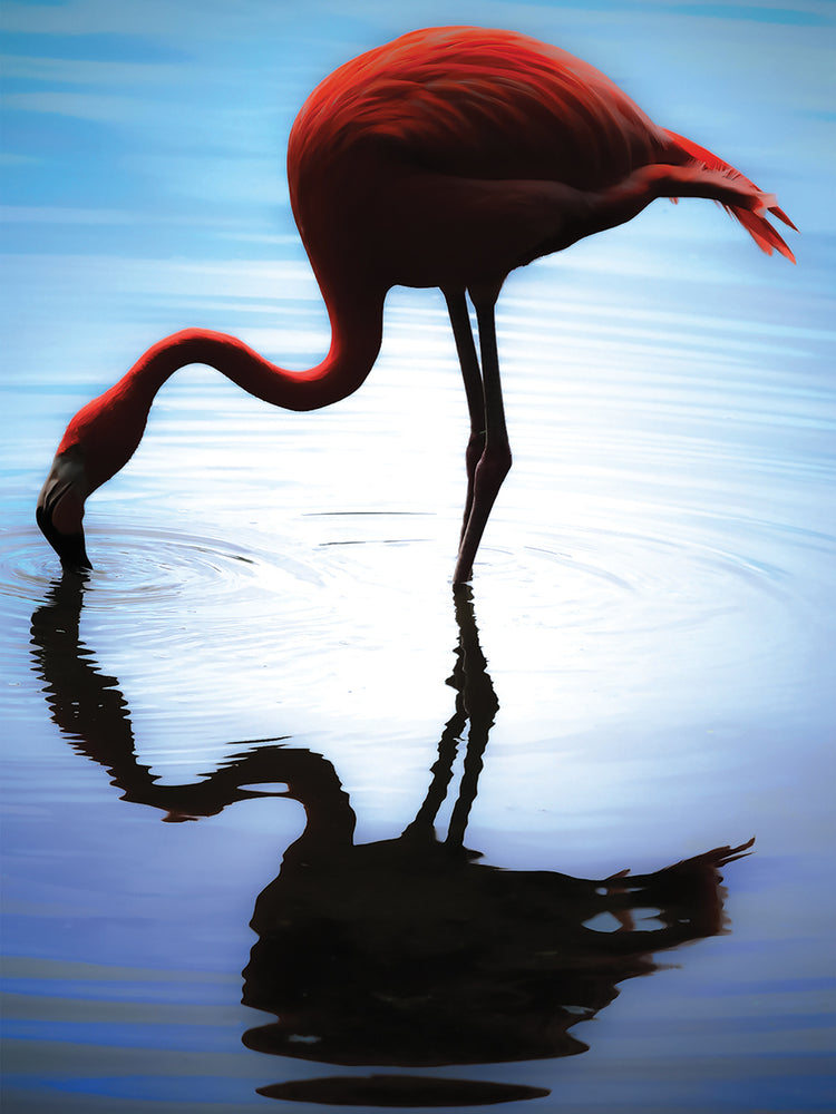 Depths of Reflections