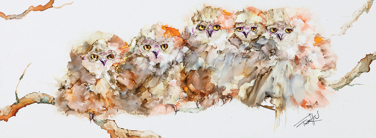 Owl You Need is Love