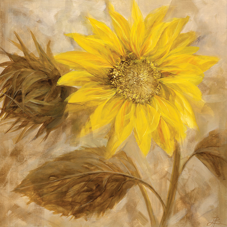 Sunflower III