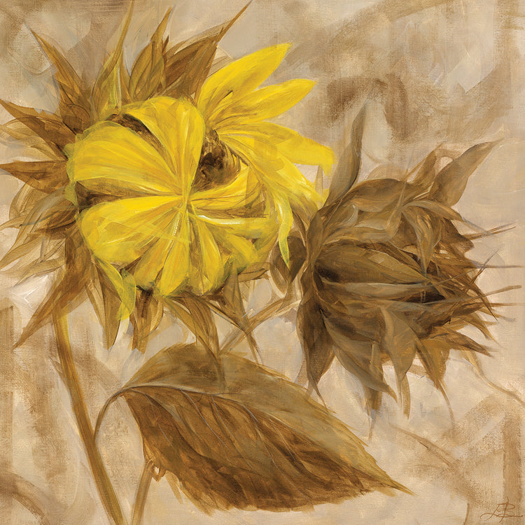 Sunflower IV