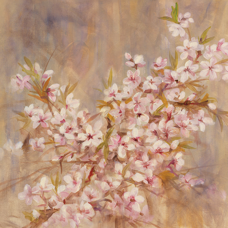 Cherry Blossom I