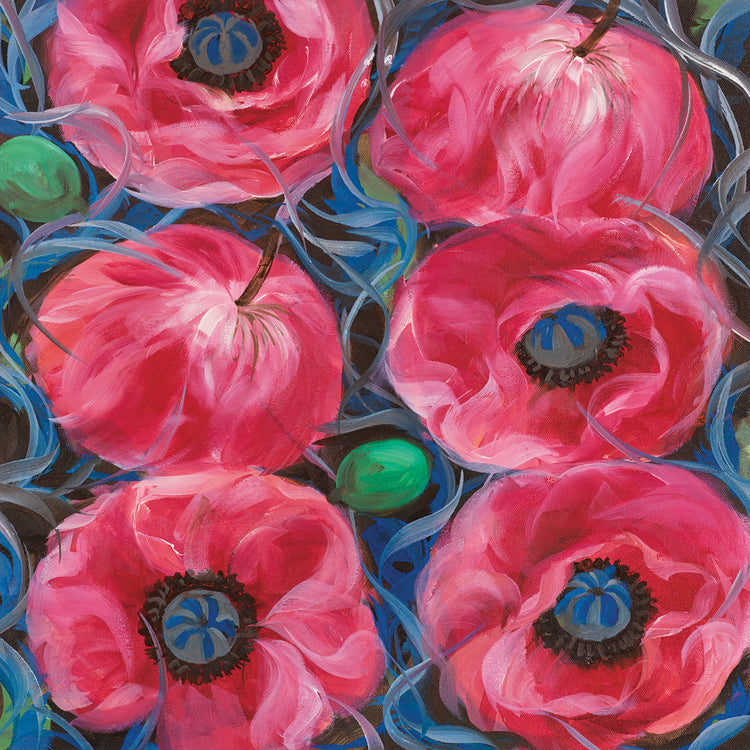 Six Pink Poppies