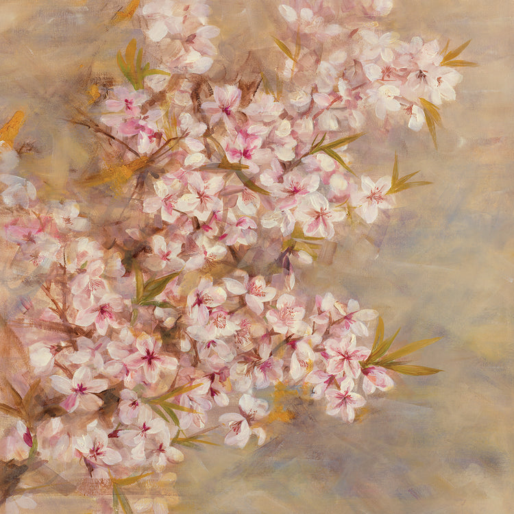 Cherry Blossom II