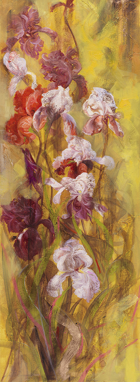 Bearded Iris I