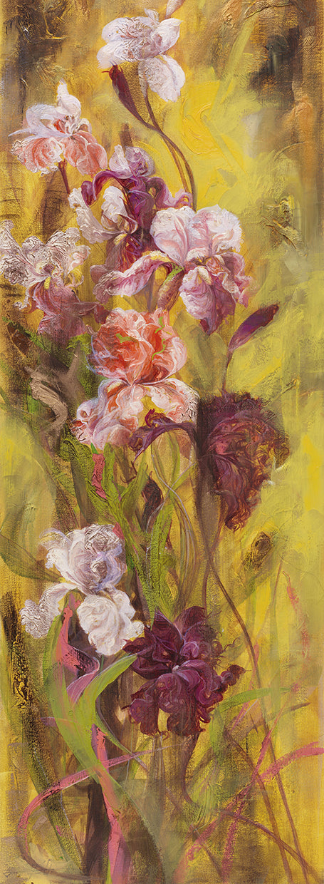 Bearded Iris II