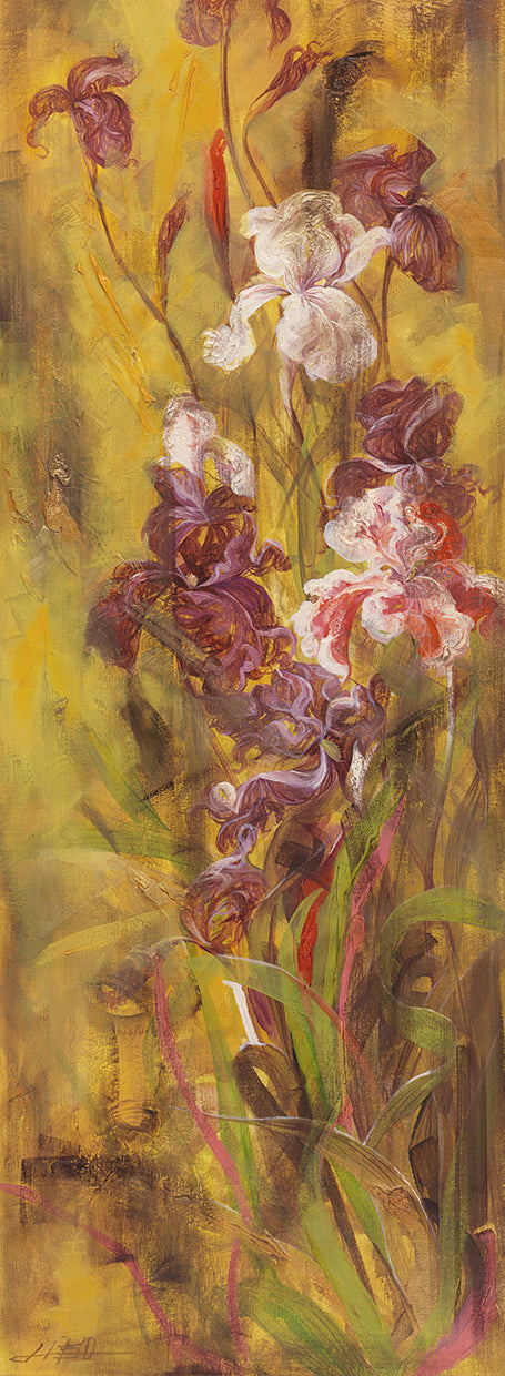 Bearded Iris III Canvas Art