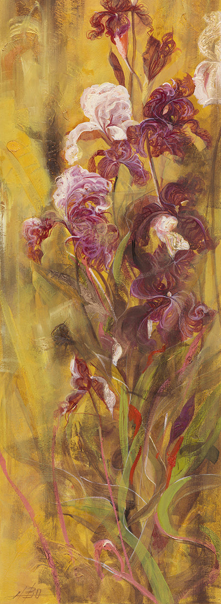 Bearded Iris IV Canvas Art