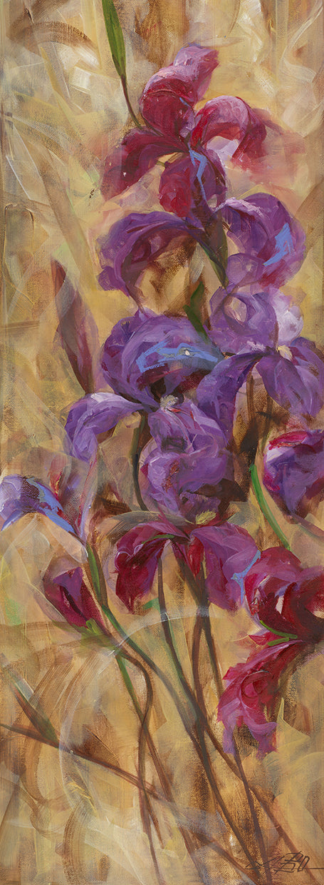 Bearded Iris V Canvas Art