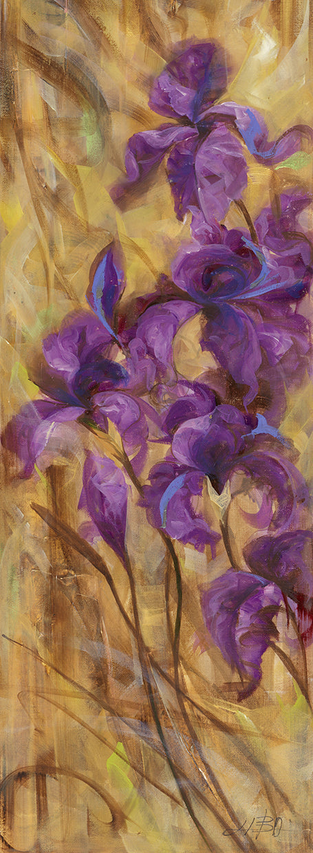 Bearded Iris VII