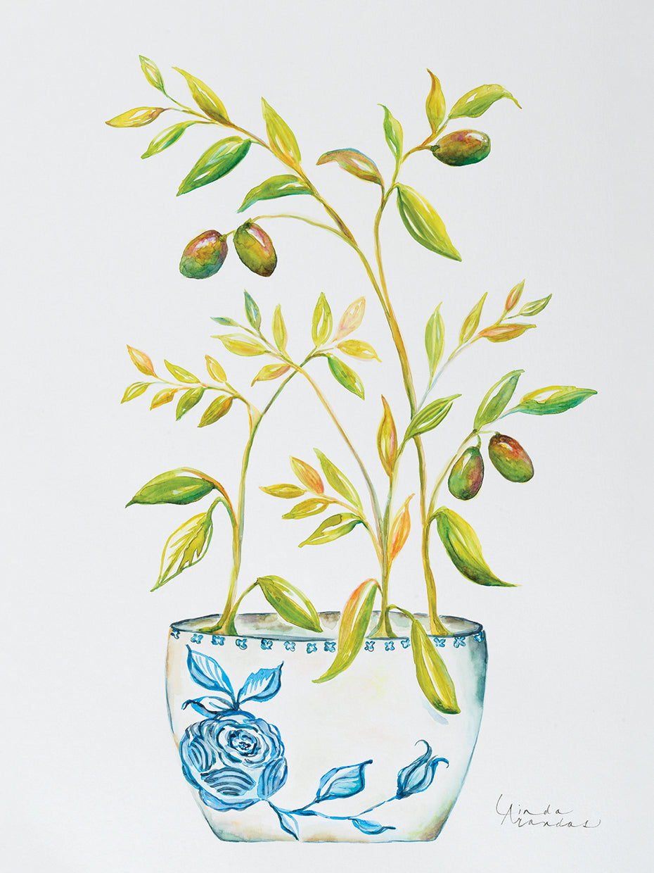 Extend an Olive Branch